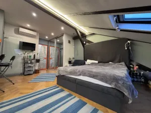 Prodej bytu 1+kk, Praha - Vinohrady, Sázavská, 45 m2