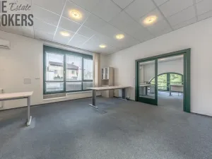 Pronájem rodinného domu, Mladá Boleslav - Čejetice, Koněvova, 296 m2