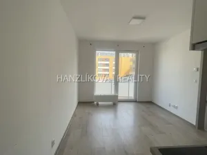 Pronájem bytu 2+kk, České Budějovice - České Budějovice 3, J. Š. Baara, 37 m2