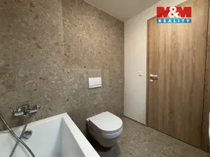 Pronájem bytu 1+kk, Brandýs nad Labem-Stará Boleslav - Brandýs nad Labem, Dřevčická, 46 m2