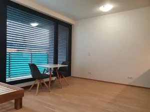 Pronájem bytu 1+kk, Praha, U průhonu, 32 m2