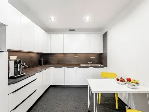 Pronájem kanceláře, Praha - Holešovice, U Uranie, 270 m2