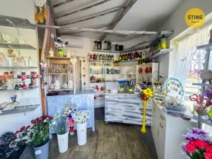 Pronájem komerční nemovitosti, Karviná, tř. Těreškovové, 15 m2