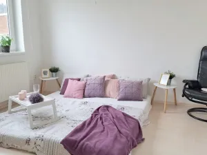 Pronájem bytu 1+kk, Brno, Bešůvka, 38 m2