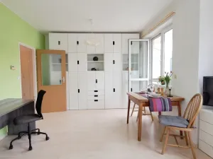 Pronájem bytu 1+kk, Brno, Bešůvka, 38 m2