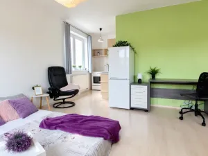 Pronájem bytu 1+kk, Brno, Bešůvka, 38 m2