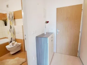 Pronájem bytu 1+kk, Brno, Bešůvka, 38 m2