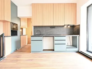 Pronájem bytu 3+kk, Most, Bří Čapků, 68 m2