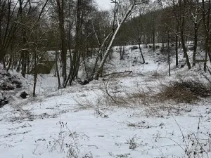 Prodej lesa, Chotiměř, 26763 m2