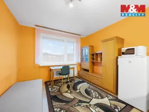 Prodej bytu 1+kk, Děčín - Děčín III-Staré Město, Litoměřická, 19 m2