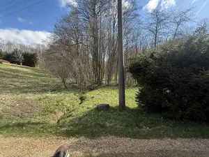 Prodej lesa, Výprachtice, 1892 m2