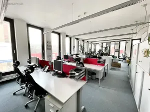 Pronájem kanceláře, Brno, Úzká, 300 m2