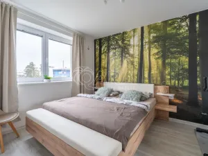 Pronájem bytu 2+kk, Velká Bíteš, Lomená, 51 m2