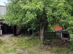 Prodej podílu 1/2 rodinného domu, Čechtice, Vinohradská, 400 m2