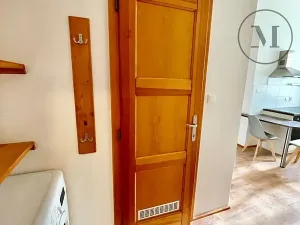 Pronájem bytu 1+1, České Budějovice, 30 m2