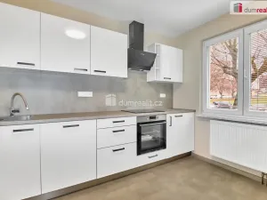 Pronájem bytu 2+1, Ostrov, Mánesova, 69 m2