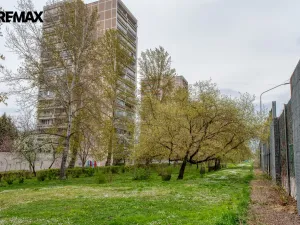 Prodej bytu 2+kk, Hradec Králové - Pražské Předměstí, Jungmannova, 55 m2