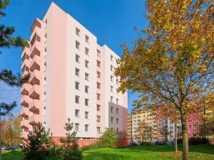 Prodej bytu 1+kk, České Budějovice, K. Chocholy, 30 m2
