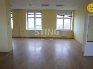 Pronájem výrobních prostor, Opava, Rybářská, 694 m2