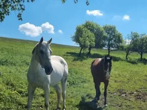Prodej pozemku pro bydlení, Vsetín, 285345 m2