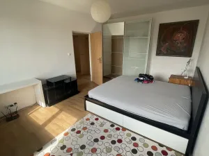 Pronájem bytu 1+1, České Budějovice, Křižíkova, 40 m2