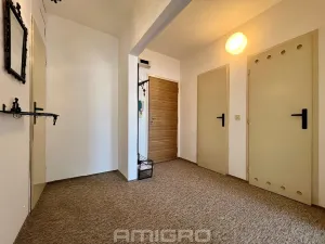 Prodej bytu 2+kk, Brno, Labská, 45 m2