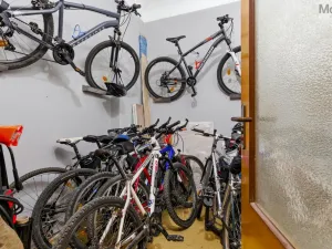 Prodej vícegeneračního domu, Duchcov, Teplická, 330 m2