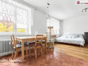 Prodej bytu 2+1, Ústí nad Labem - Střekov, Střekovské nábřeží, 52 m2