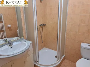 Pronájem bytu 1+kk, Jámy, 30 m2