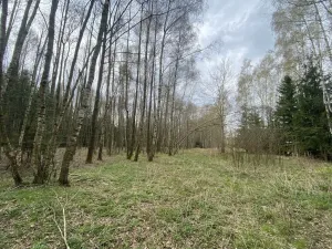 Prodej pozemku, Volfířov - Brandlín, 5958 m2