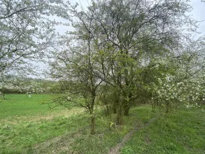 Prodej pozemku, Štětí - Brocno, 273 m2