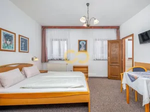 Prodej ubytování, Český Krumlov, Rooseveltova, 391 m2