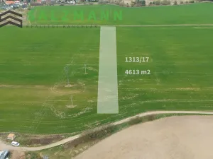 Prodej pole, Tlučná, 9274 m2