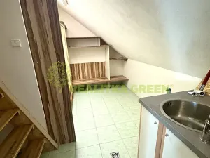 Pronájem rodinného domu, Neubuz, 218 m2