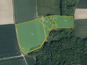 Prodej pole, Očelice, 45362 m2