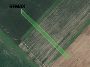 Prodej pole, Josefov, 4449 m2