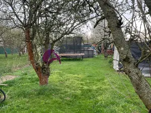 Prodej zahrady, Olomouc, 985 m2