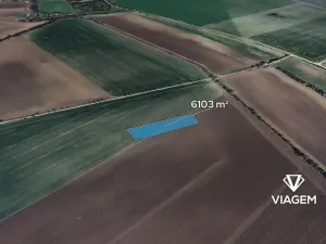 Prodej podílu pole, Třibřichy, 381 m2