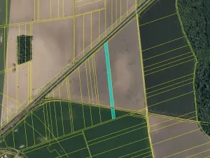 Dražba louky, Chropyně, 11841 m2