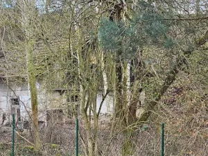 Dražba rodinného domu, Kasalice, 223 m2