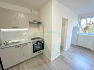 Pronájem bytu 1+kk, Hostivice, Čsl. armády, 25 m2