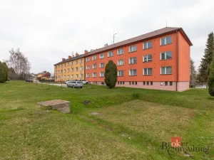 Prodej bytu 2+1, Světlá Hora - Světlá, 60 m2