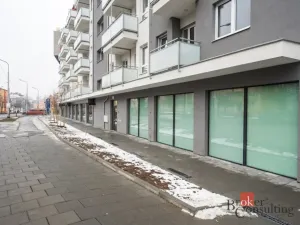 Pronájem bytu 2+kk, Olomouc, Wolkerova, 66 m2