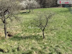 Prodej pole, Trojanovice, 2929 m2