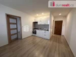 Pronájem bytu 1+1, Ústí nad Labem - Severní Terasa, Větrná, 36 m2