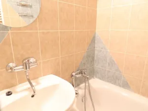 Pronájem bytu 1+1, Hradec Králové - Věkoše, Na Zahrádkách, 40 m2