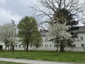 Prodej bytu 2+1, Ostrava - Hrabůvka, Jubilejní, 81 m2