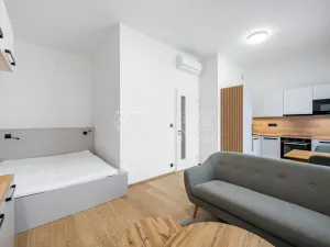 Pronájem bytu 1+kk, Praha - Karlín, Pobřežní, 31 m2