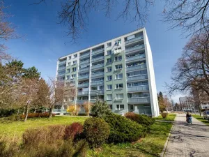 Prodej bytu 3+1, Čelákovice, U Kapličky, 77 m2