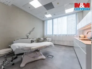 Pronájem komerční nemovitosti, Praha, Jihlavská, 30 m2